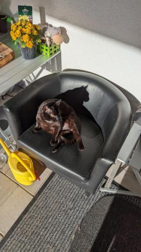 PXL 20230422 055456014