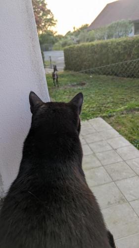 PXL 20230528 183544470