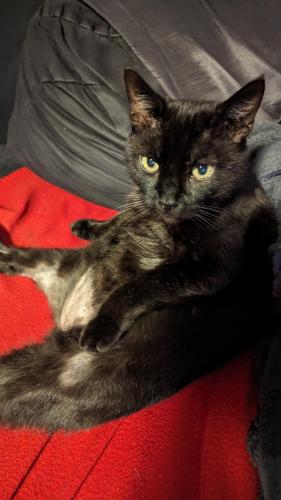 PXL 20231016 215009682