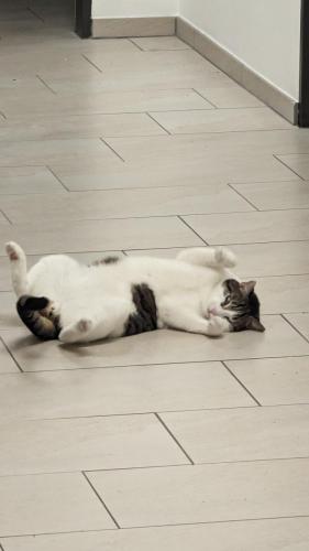 PXL 20231208 175430028