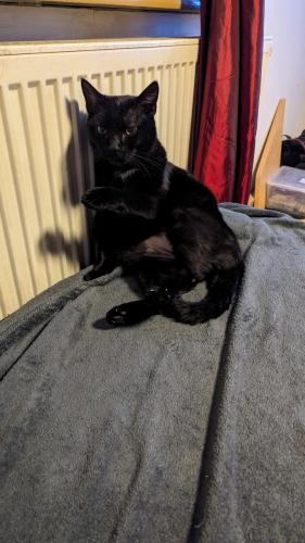 PXL 20240123 171539848