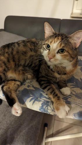 PXL 20240123 180859554