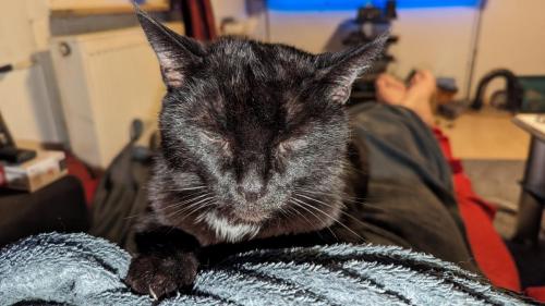 PXL 20240211 214833359