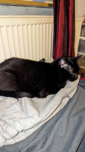 PXL 20240211 215552867