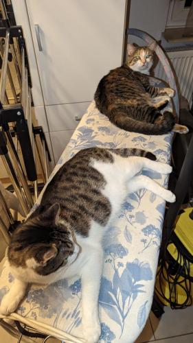 PXL 20240216 181846614