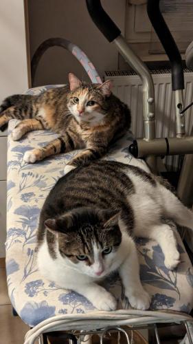 PXL 20240218 184910649