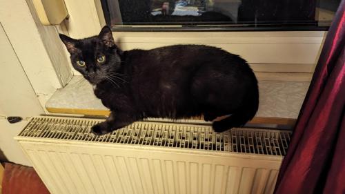 PXL 20240227 051939790